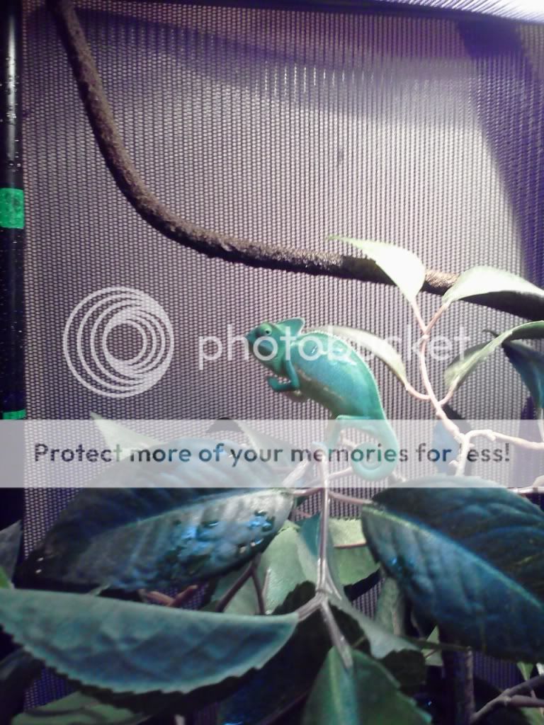 1011112110.jpg