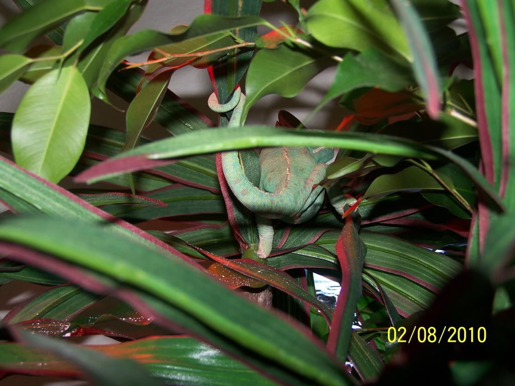 100_2370.jpg