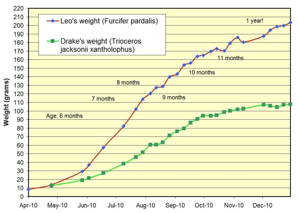 graph_1-11.jpg