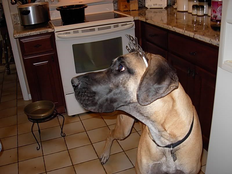 DSCN1153.jpg