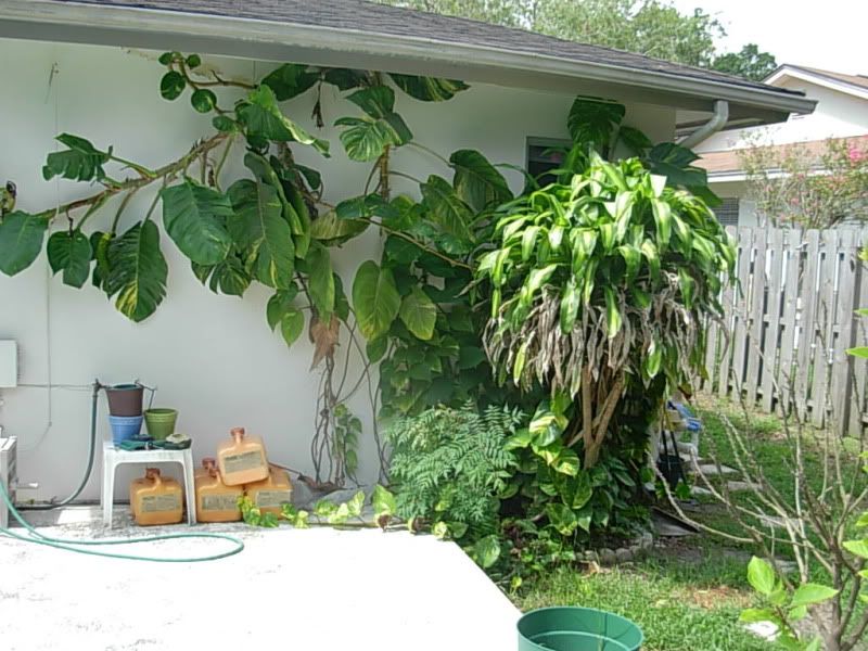 DSCN4366.jpg