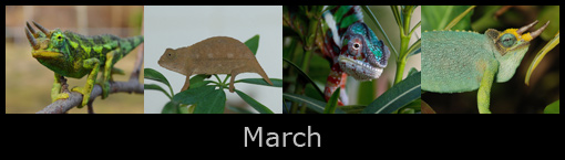 march.jpg