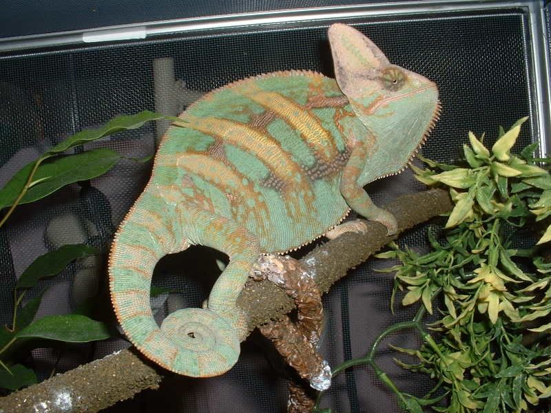 DSCF0004.jpg