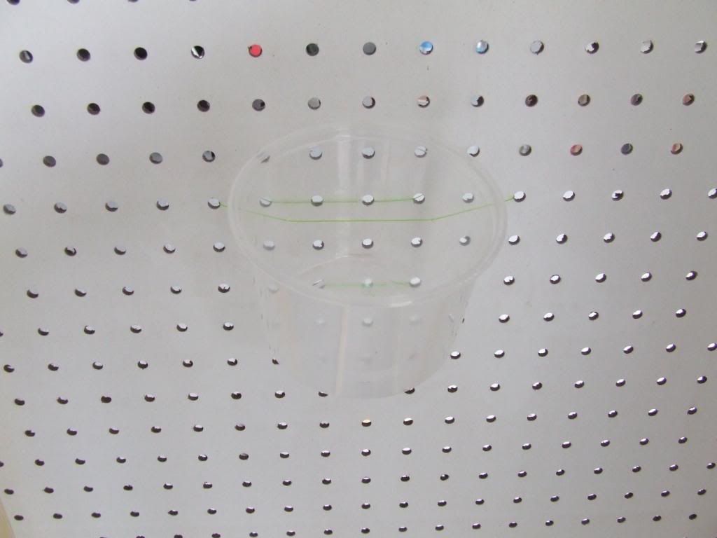 cagebuild020.jpg