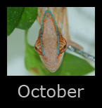 october.jpg