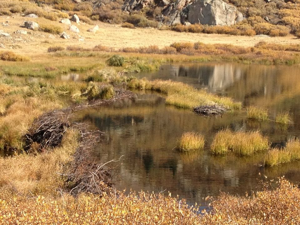Colorado98.jpg