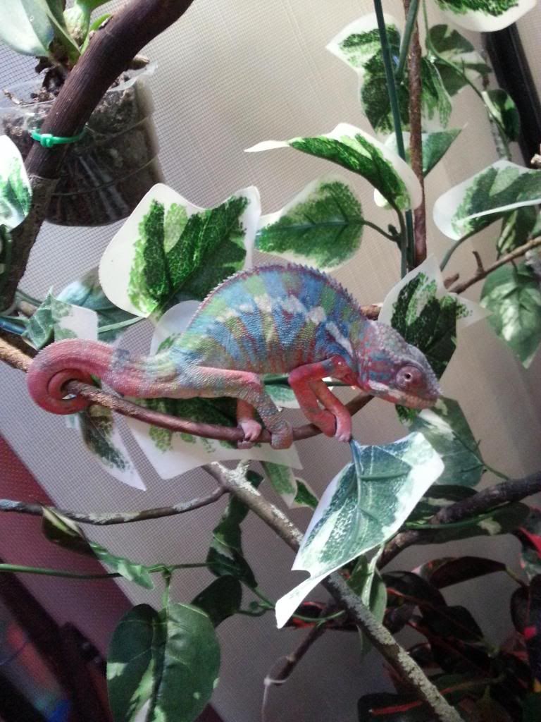 20121125_170022.jpg