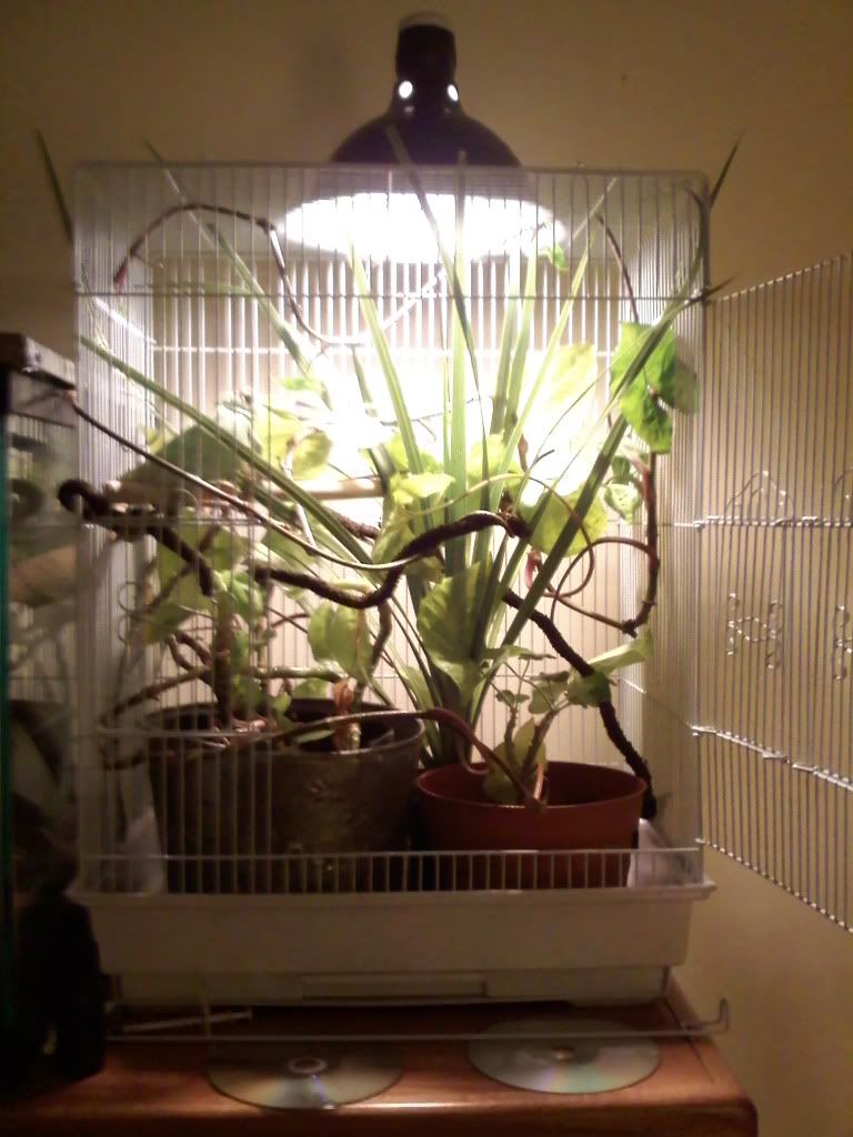 1020092046.jpg