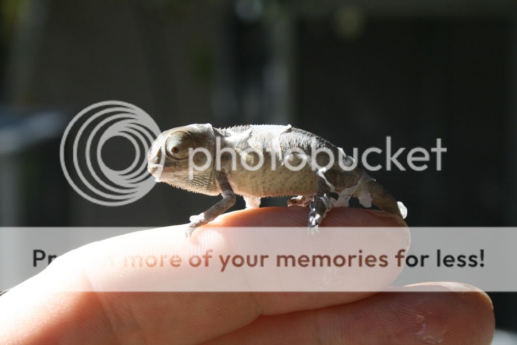 somepics027.jpg