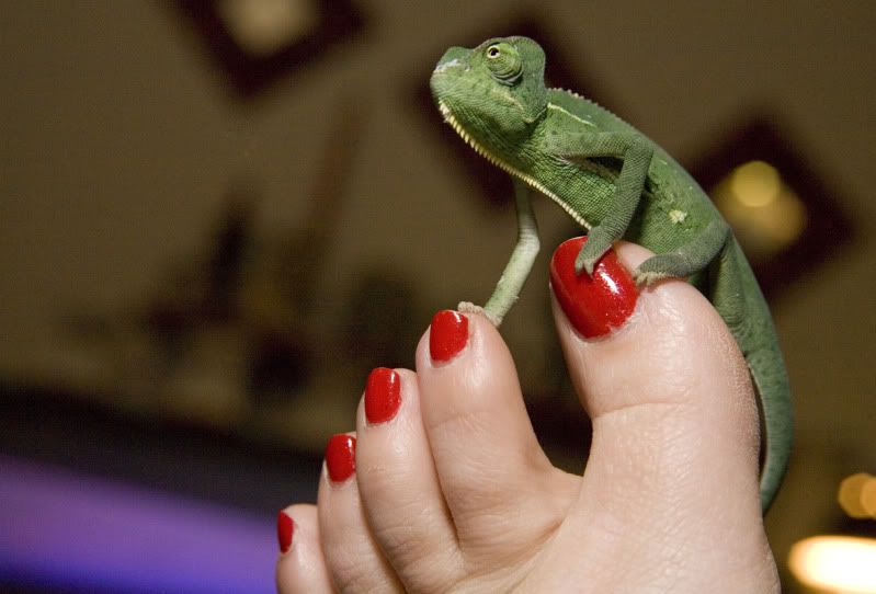 03102012_tallulah.jpg