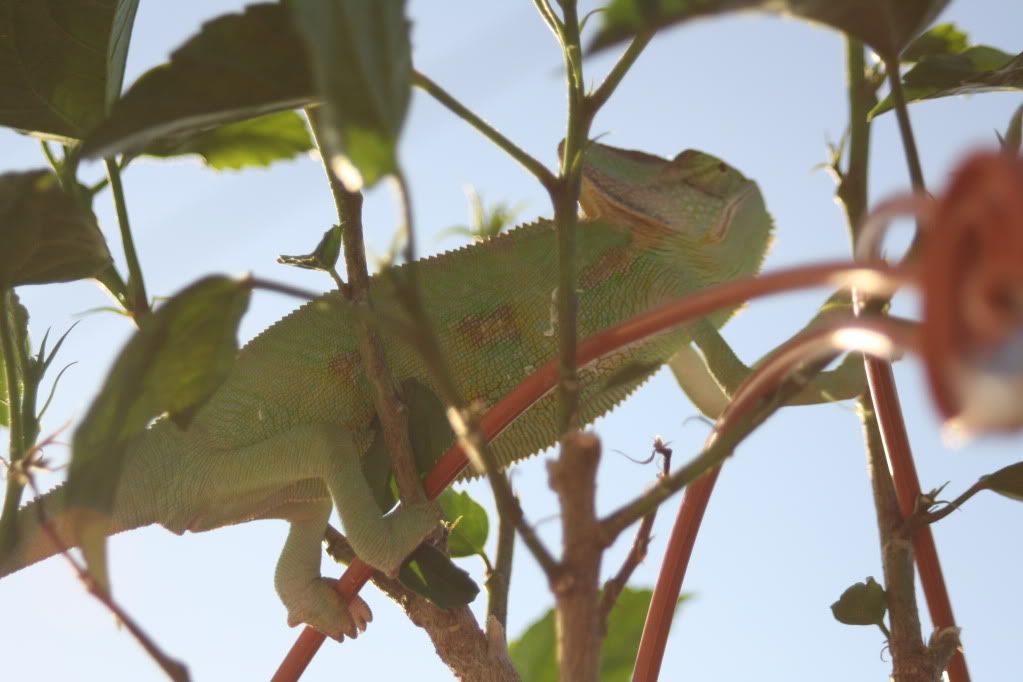 20110804_55.jpg