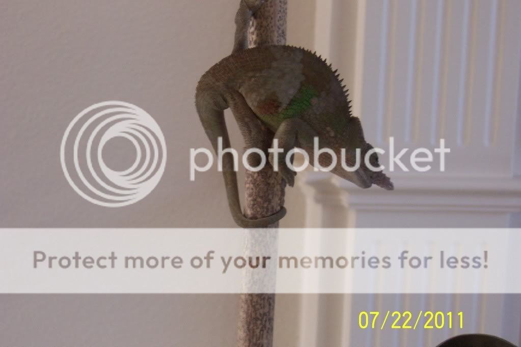 100_2394.jpg