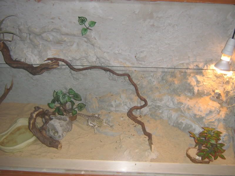 IMG_1863.jpg