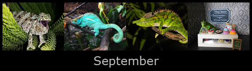 september.jpg