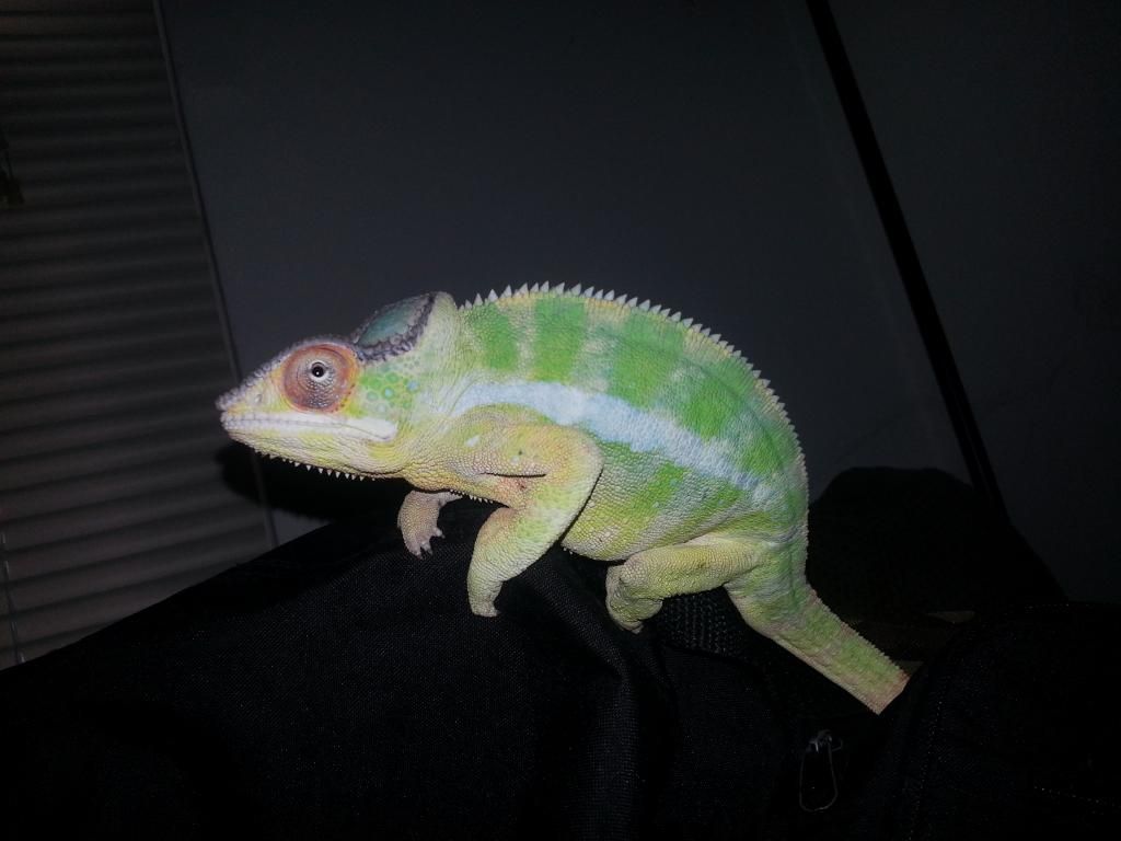 20141129_154036.jpg