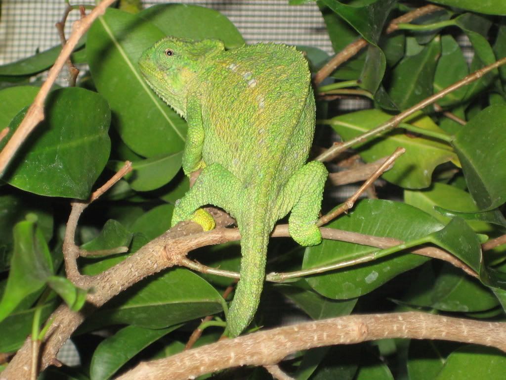 IMG_0511.jpg