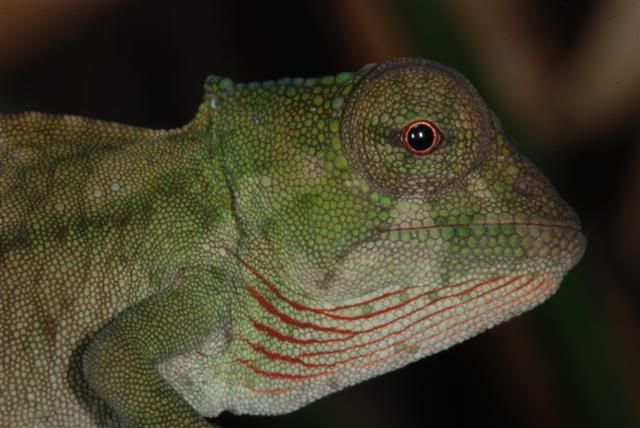 DSC_9408Small.jpg