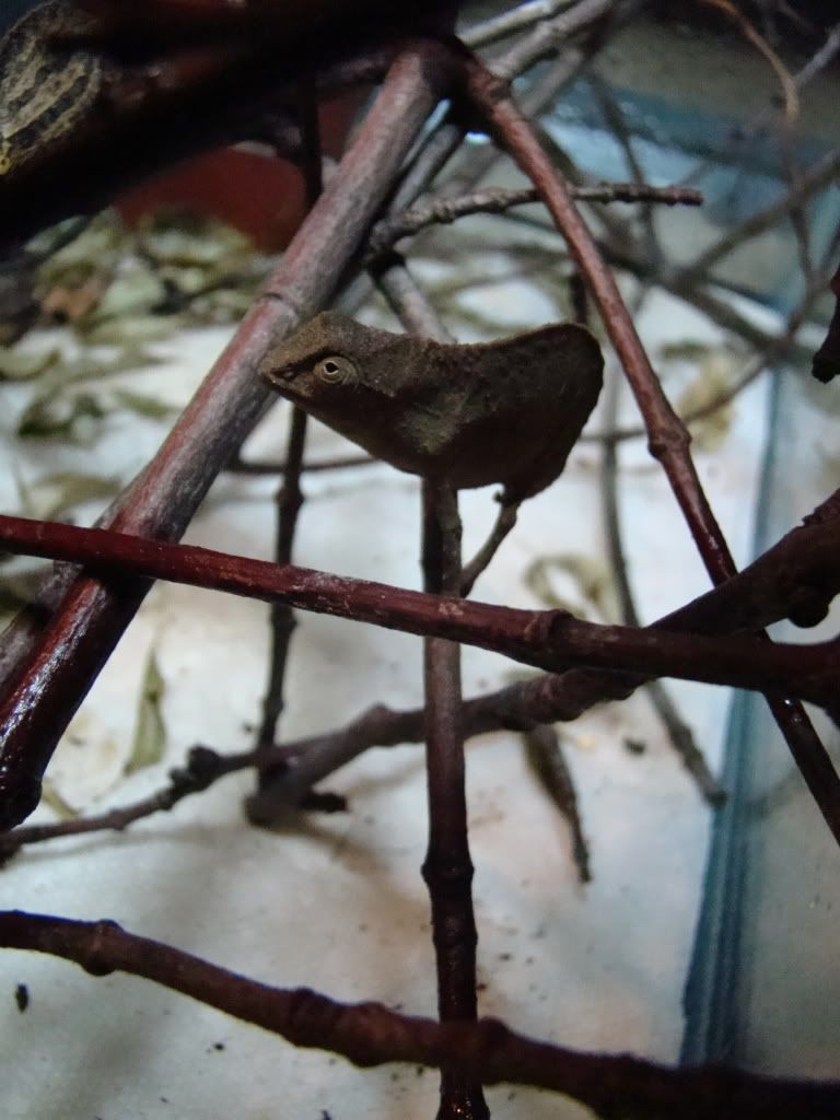DSC07718.jpg