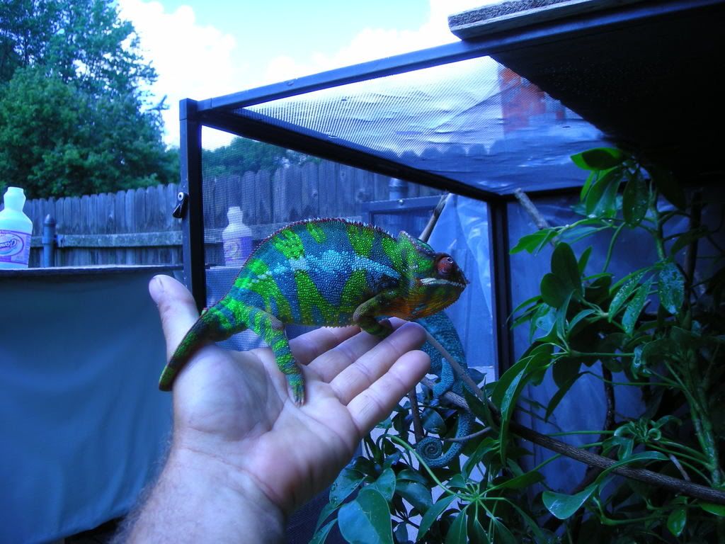 NewpicJuly08002.jpg