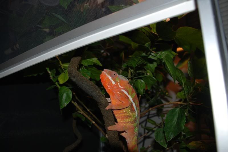 DSC_0175.jpg