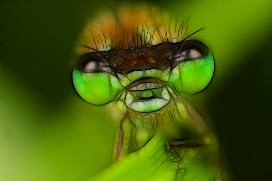 2657442092_9a4d1a457f_o.jpg