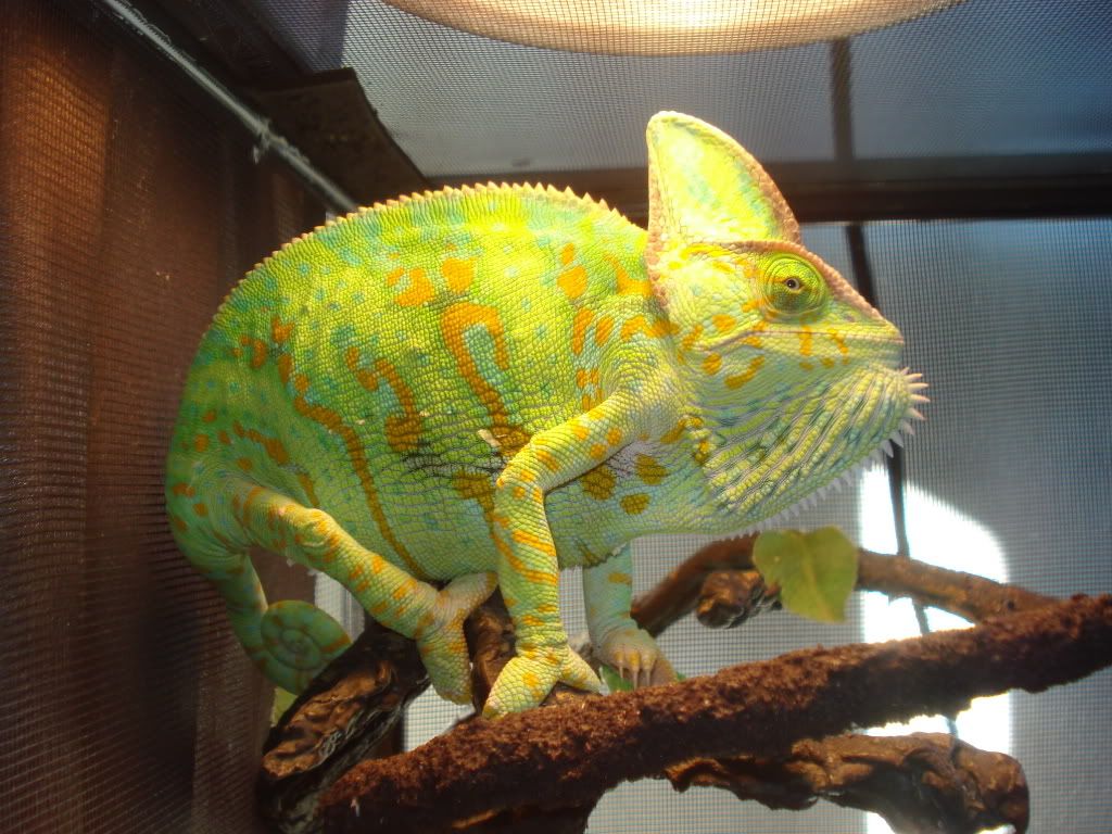 DSC05780.jpg