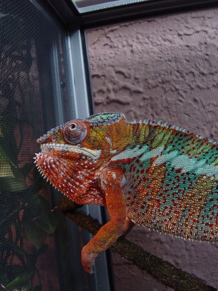 DSC00112.jpg