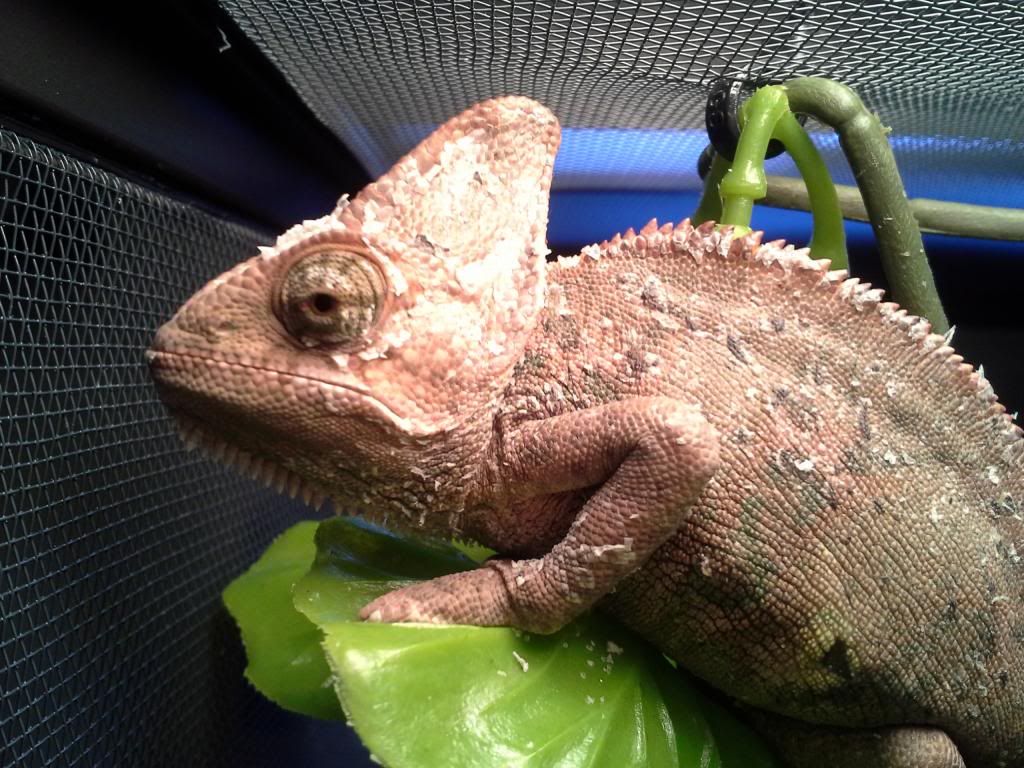 20130428_154836.jpg