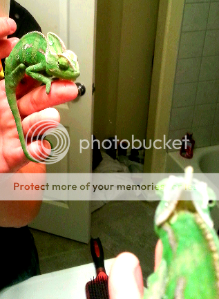 2013-01-02091737.png