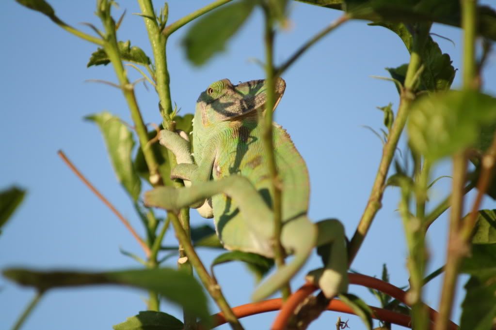 20110804_29.jpg