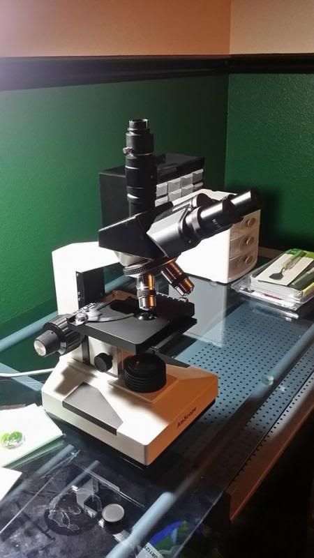 microscope.jpg