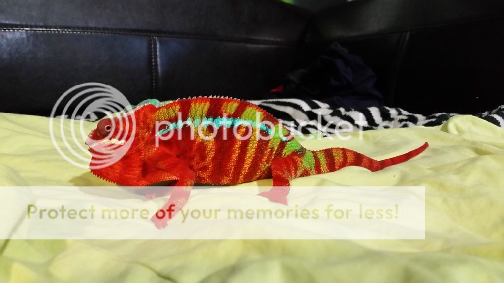 20150831_131121.jpg