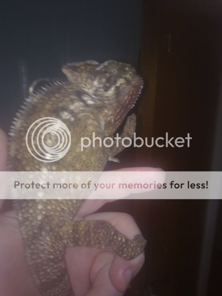 11092010200.jpg