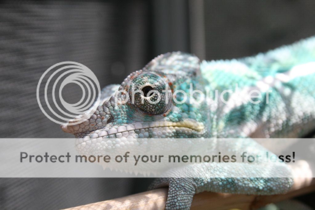outsidepics014.jpg
