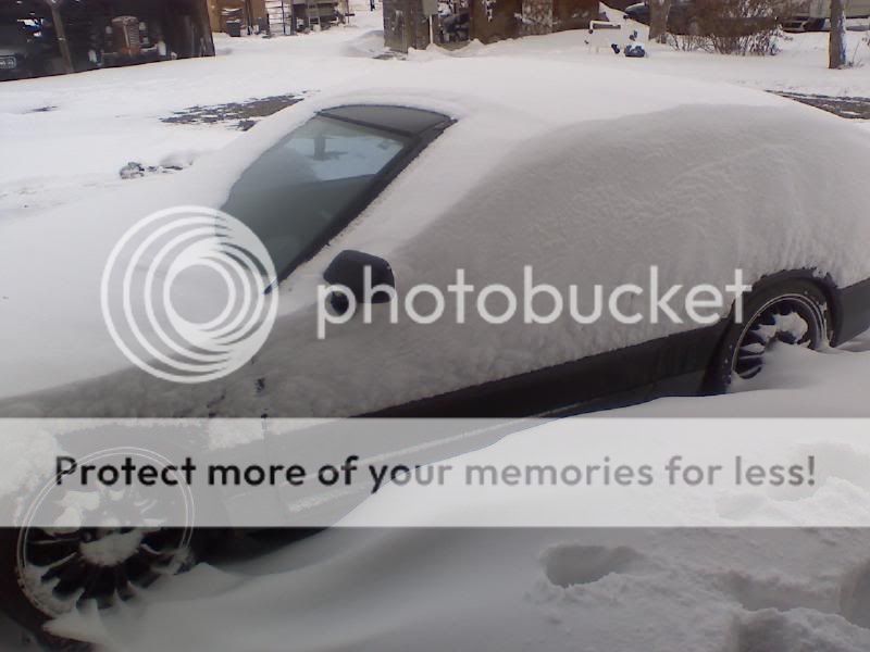 snow5.jpg