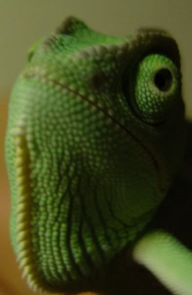 n30507560_31023958_3903.jpg