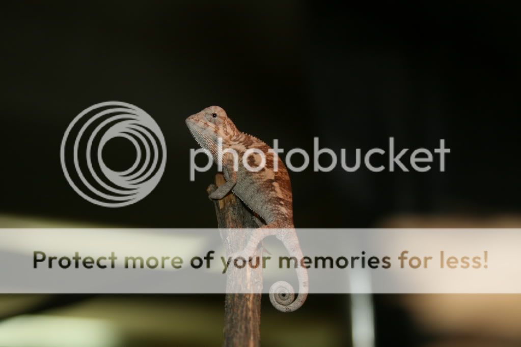 picsfromtoday012.jpg