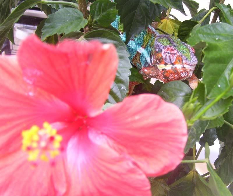 100_8866.jpg