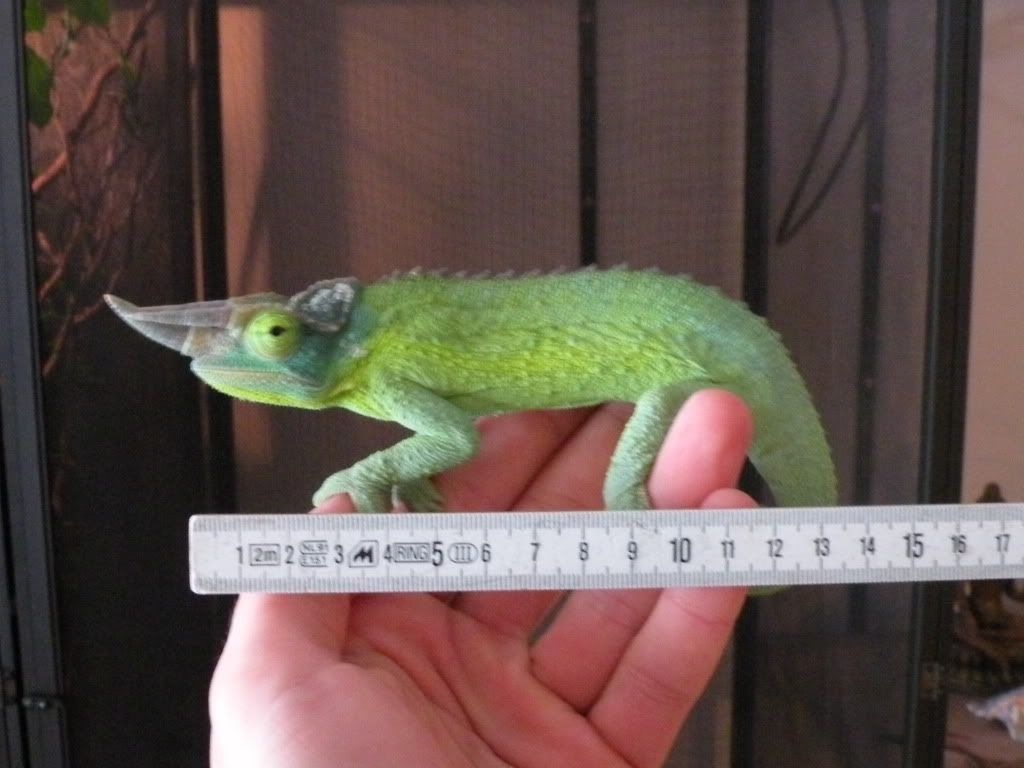 RSCN7439.jpg