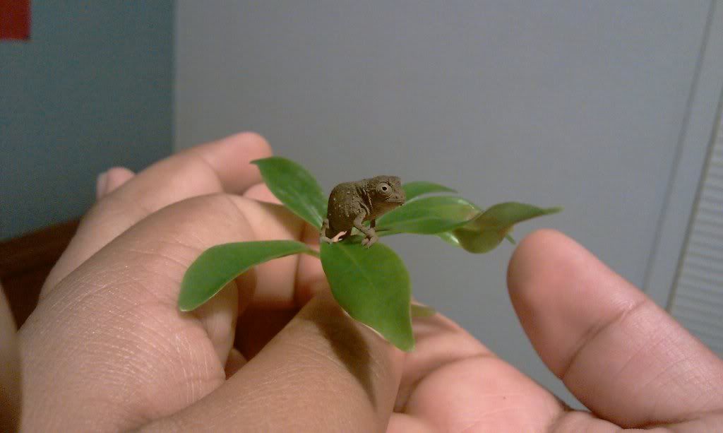 IMAG0028.jpg