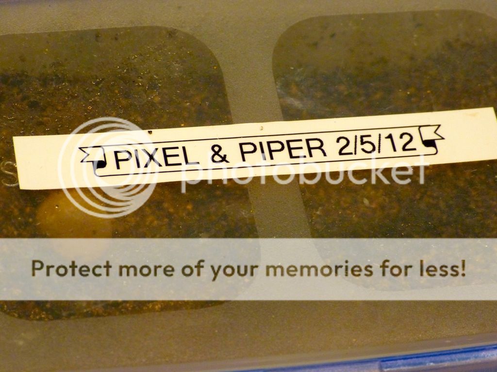 file_zps894b827d.jpg