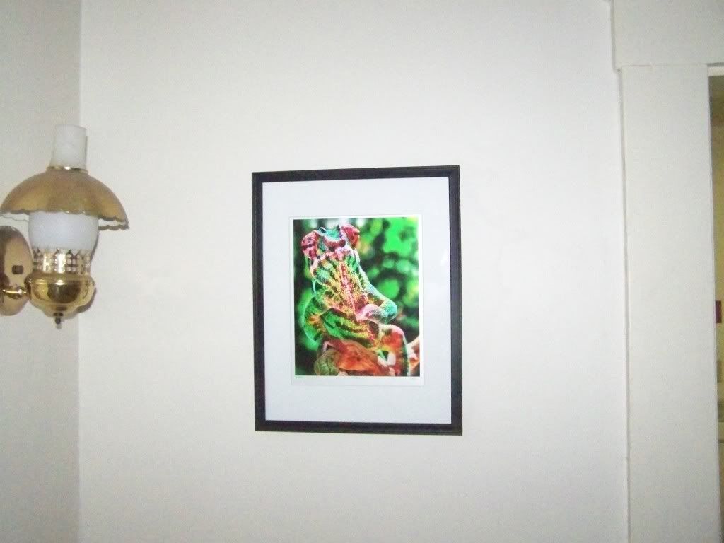 100_3929.jpg