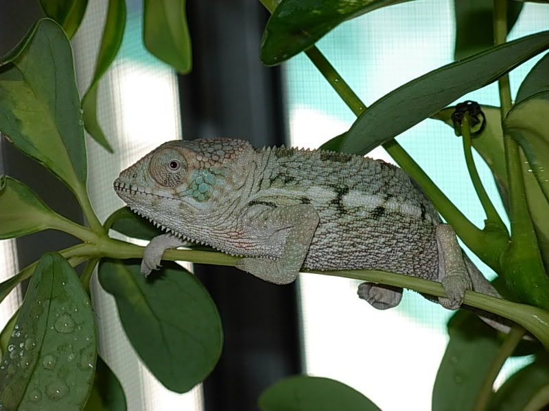 DSCN1173.jpg