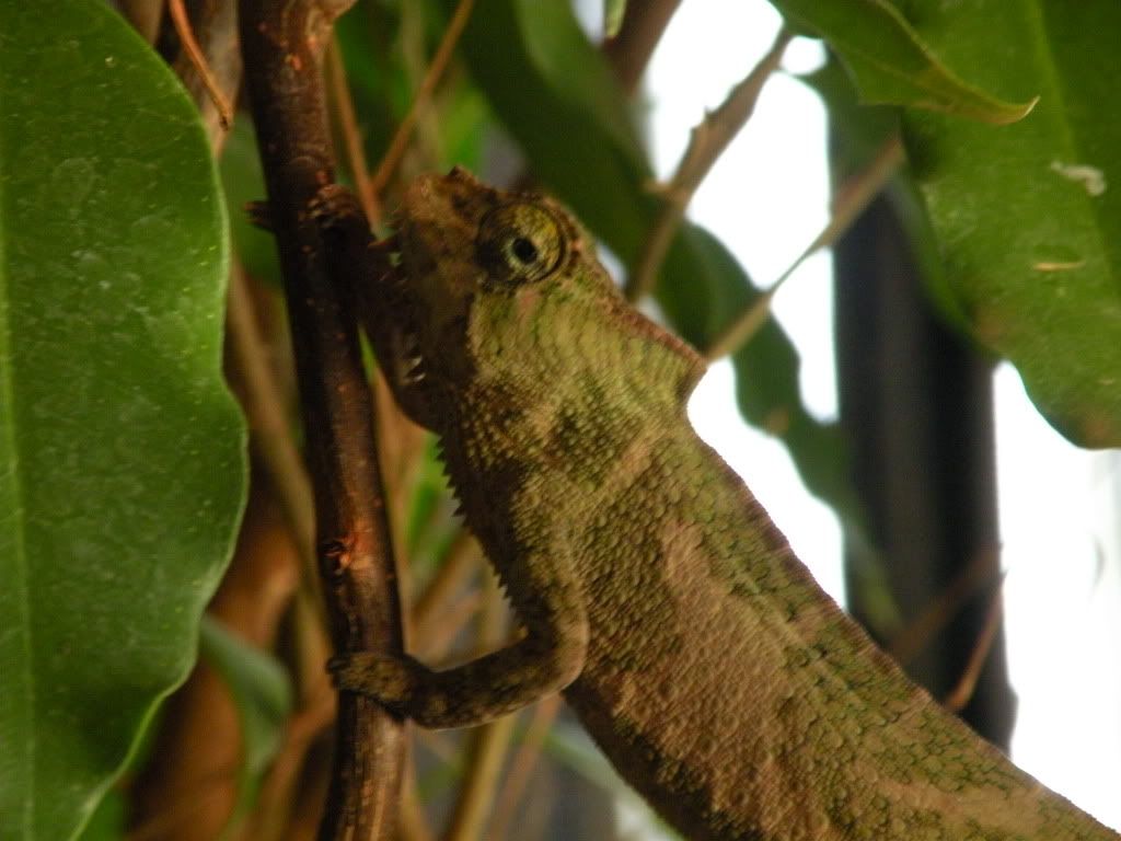 DSCN7855.jpg