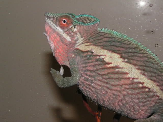 PICT3116.jpg