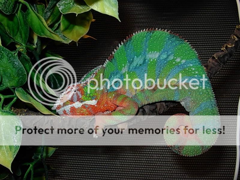 DSCN7570.jpg