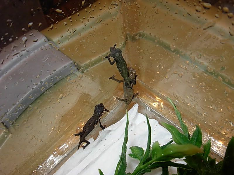 DSCN1659.jpg
