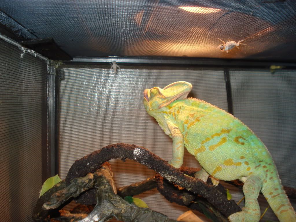 DSC05902.jpg