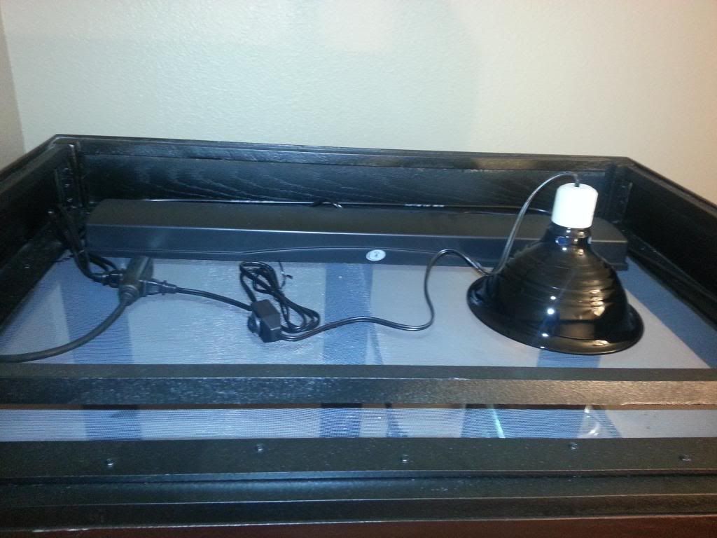 20130126_184532_zps65e3fa16.jpg