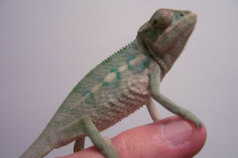 100_4214.jpg